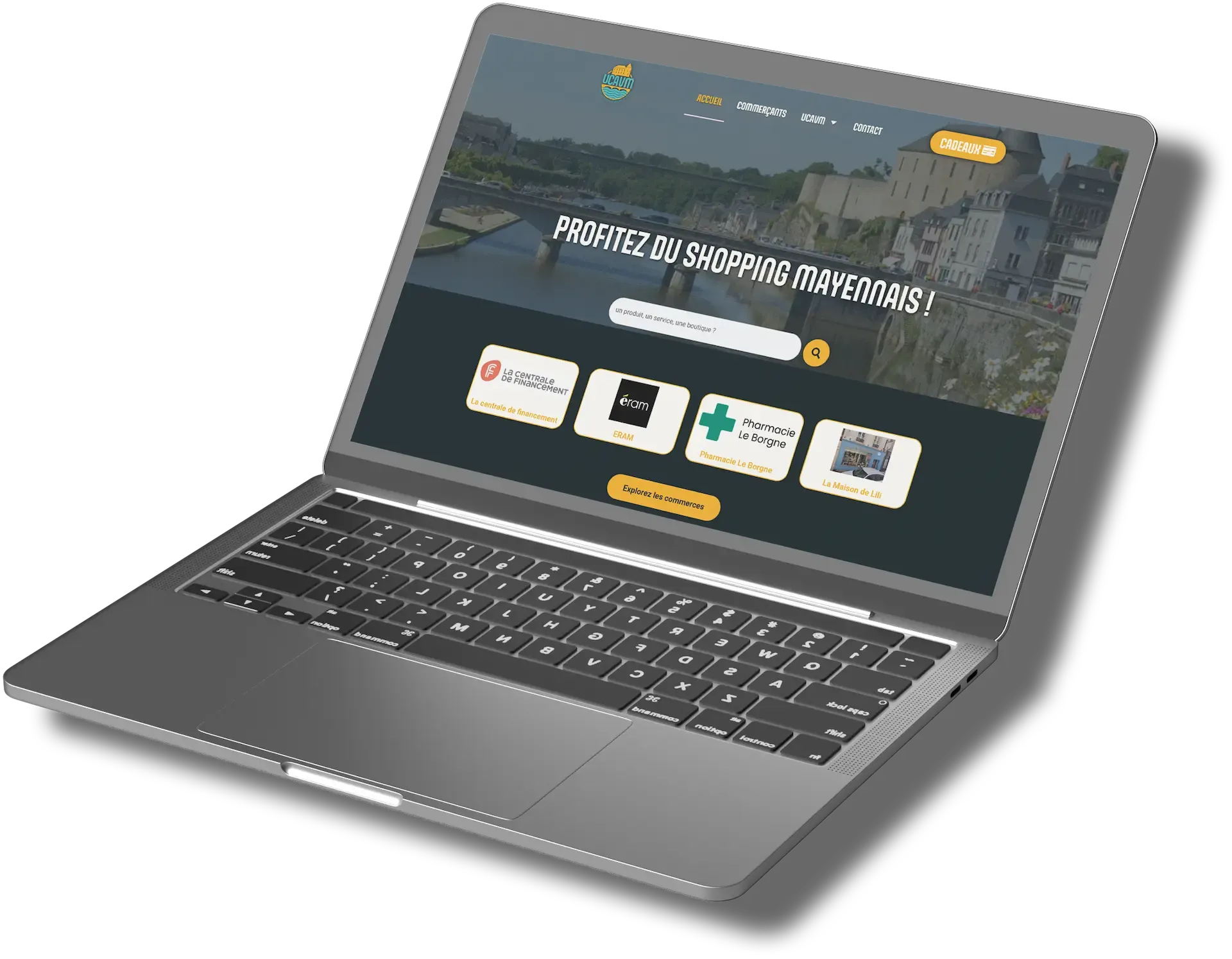 Ordinateur portable avec site web professionnel